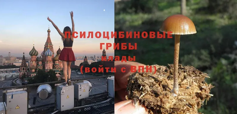 Галлюциногенные грибы Magic Shrooms  Волгореченск 